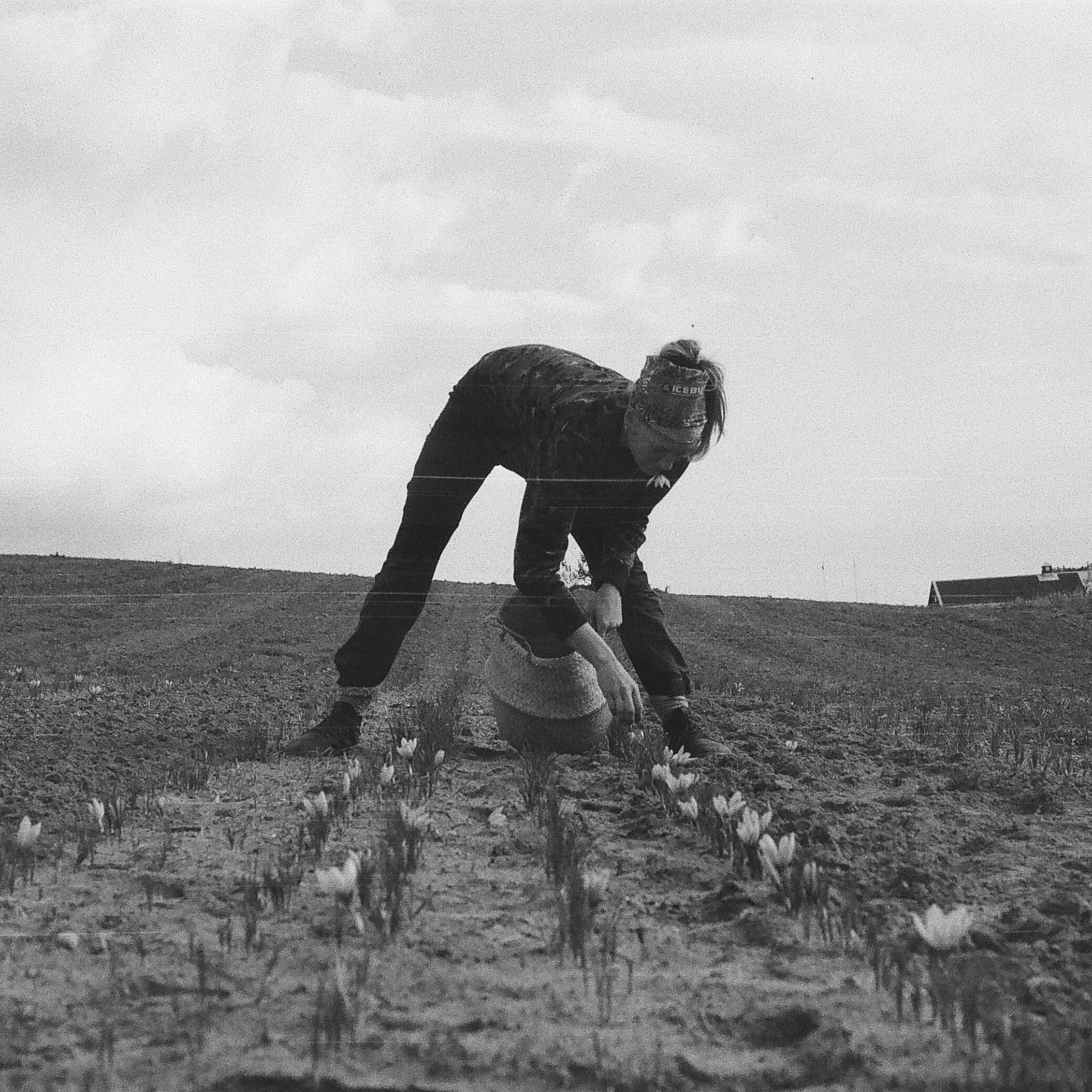 From a thirst for freedom to a career: how a school dropout became a team member at Michelin-starred Noma