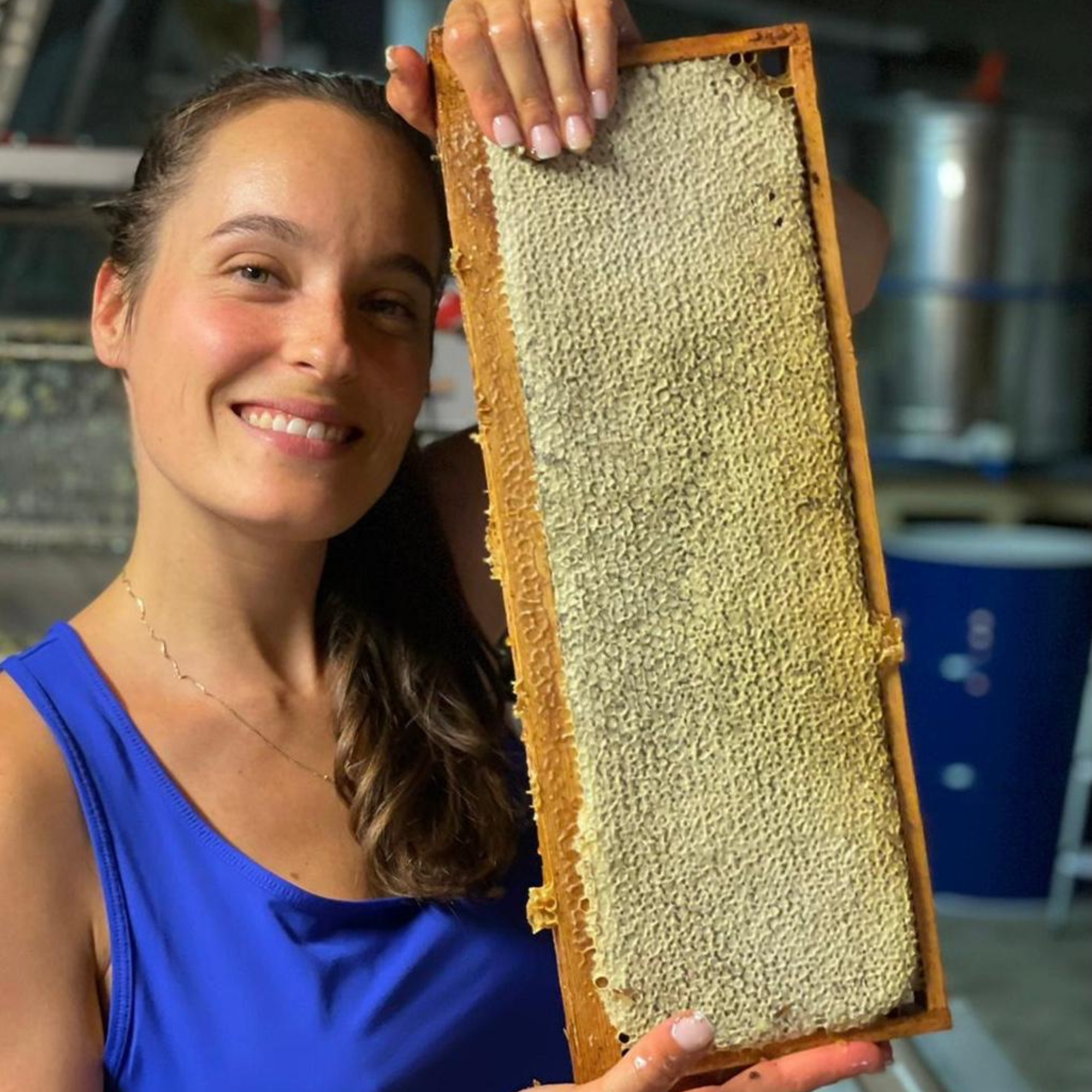 Happy among the hives – A Hungarian lawyer found her home as a beekeeper in Provence