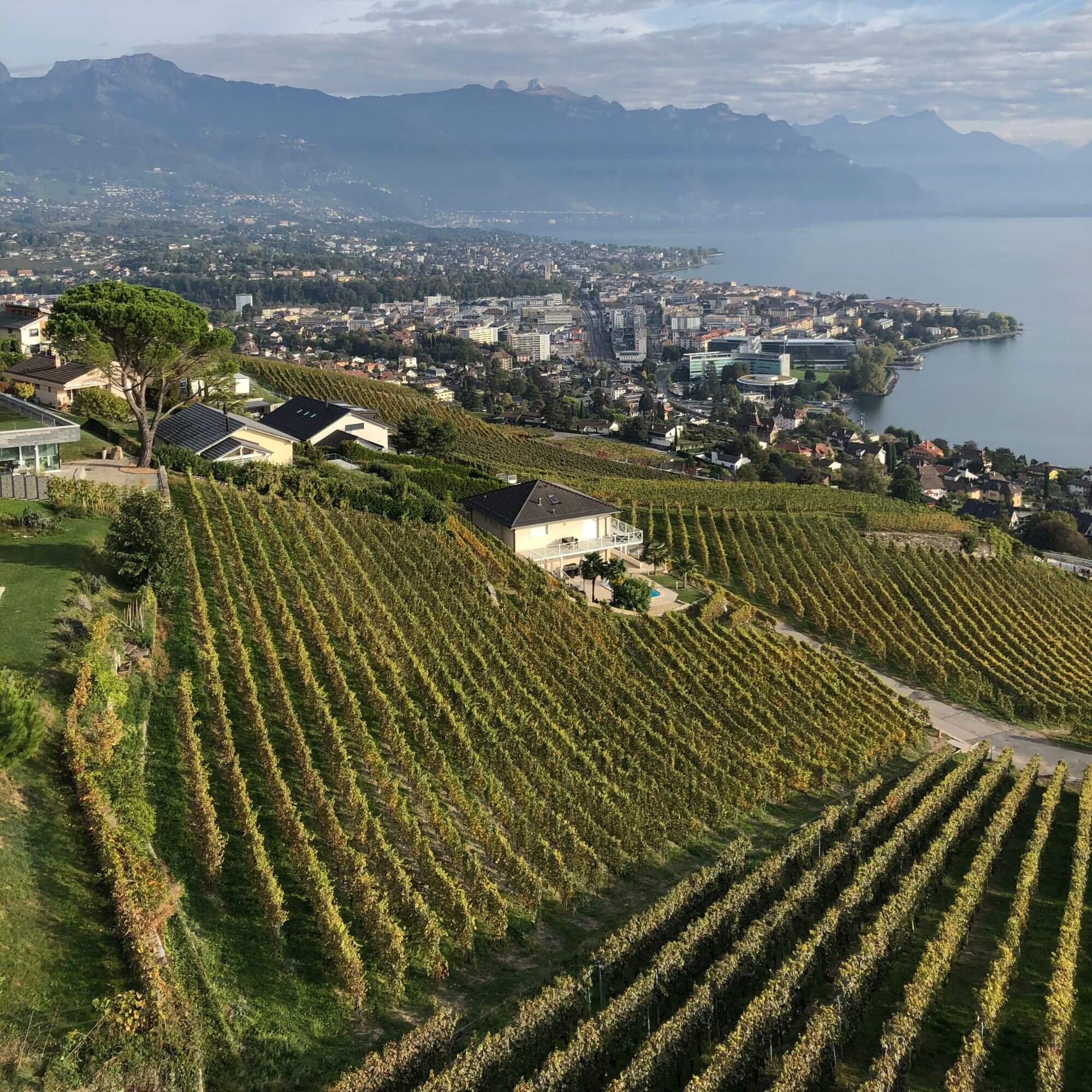 Nomador is my new Tinder – How I traveled to Switzerland for two weeks to feed a cat